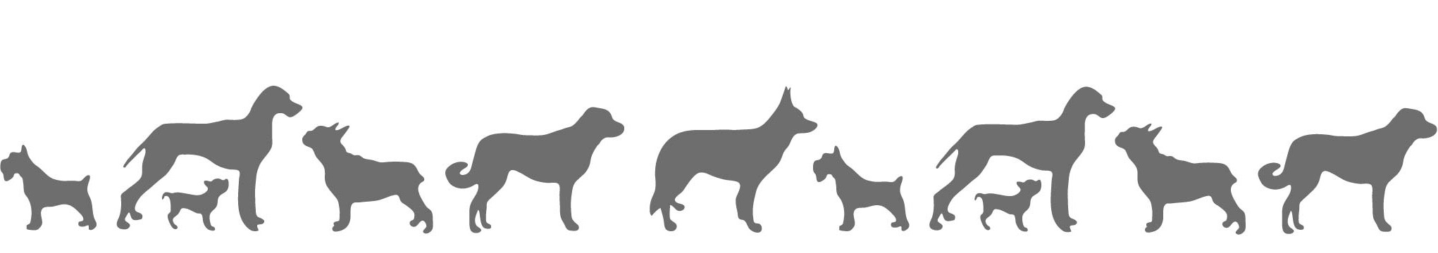 dog border-01